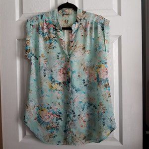 Beautiful Sheer Short Sleeve Top